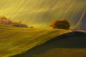 VALDORCIA5_GALLERY