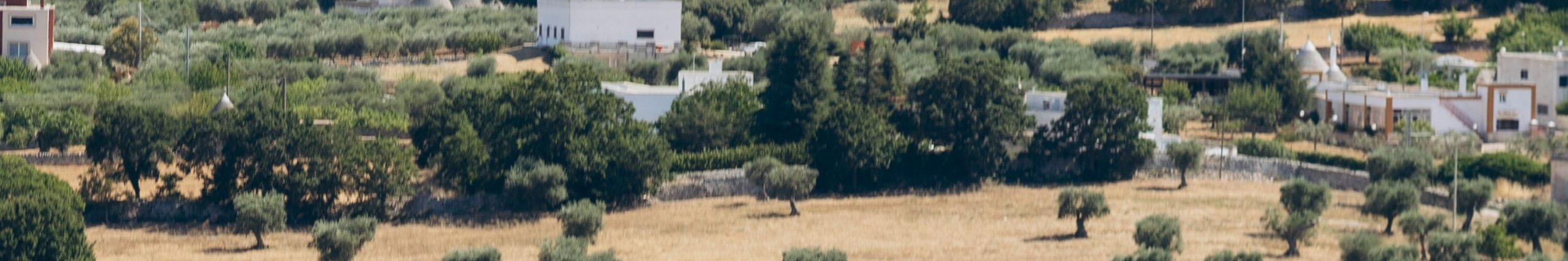VALLEDITRIA_OVERVIEW
