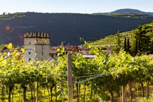 VALPOLICELLA1_GALLERY
