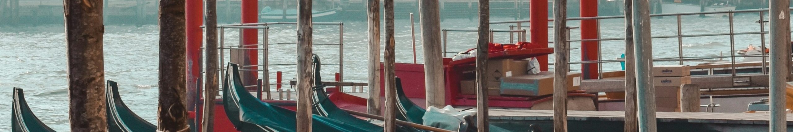 VENICE2_OVERVIEW