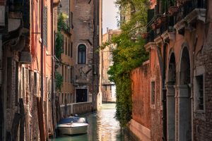 VENICE6_GALLERY
