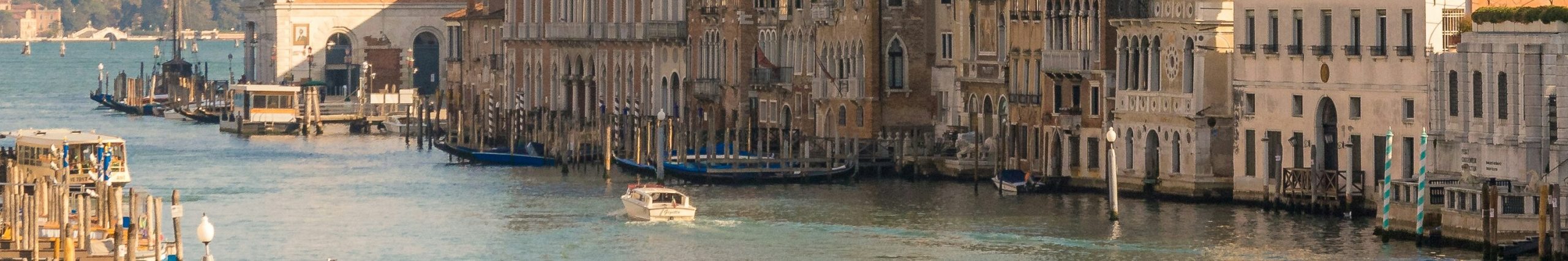 VENICE_OVERVIEW