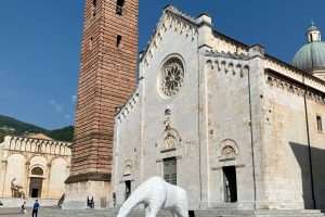 VERSILIA4_GALLERY
