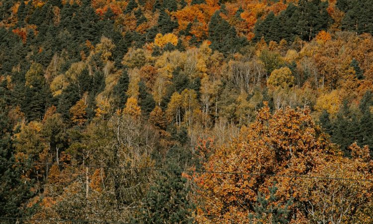 HOT TO EXPERIENCE ITALY IN AUTUMN HOT TO EXPERIENCE ITALY IN AUTUMN