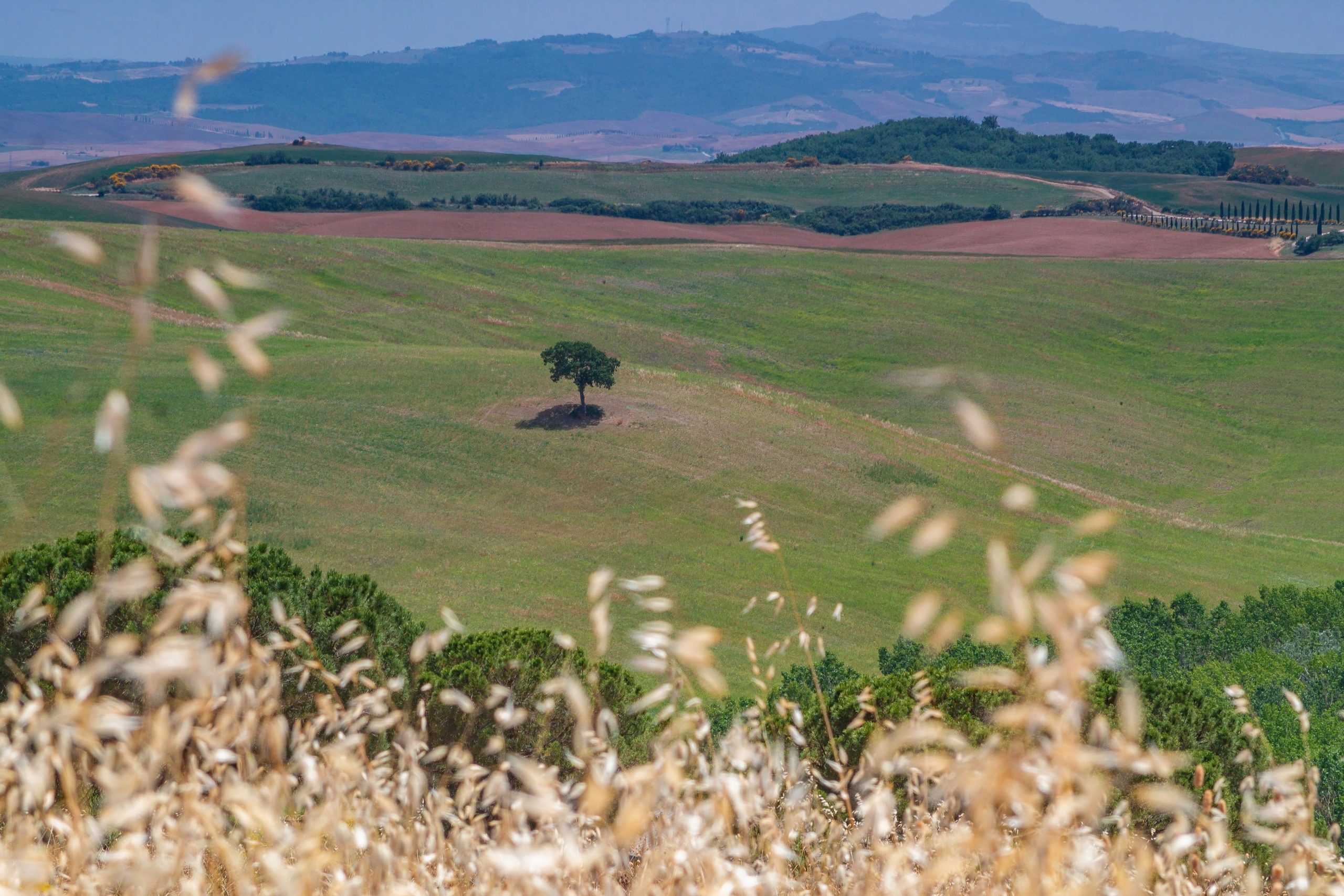 Italy outdoor, Tuscany