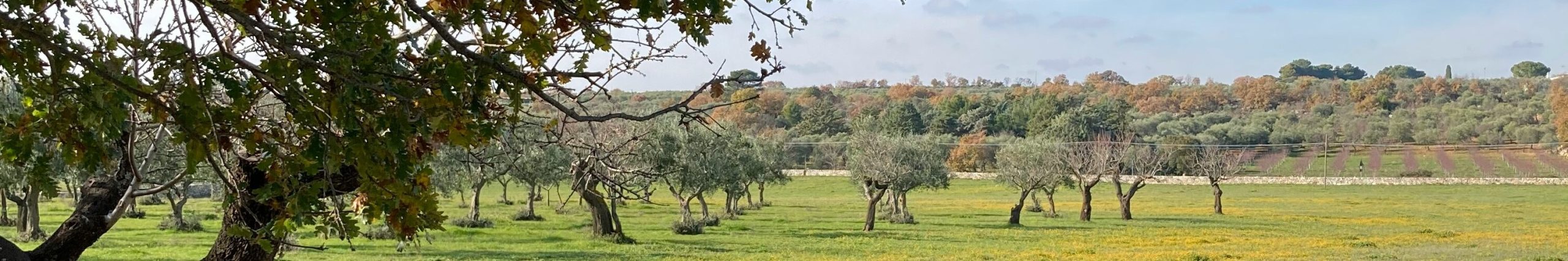 MURGIA_OVERVIEW