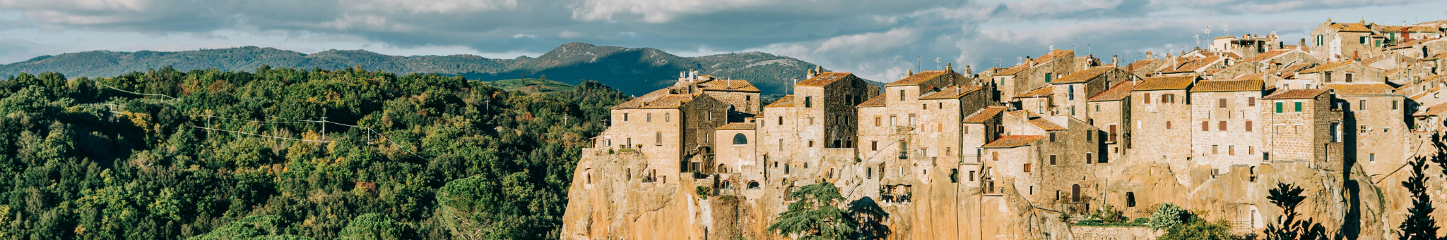 PITIGLIANO_OVERVIEW