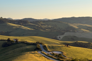 URBINO4_GALLERY