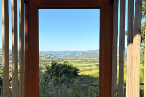 URBINO6_GALLERY