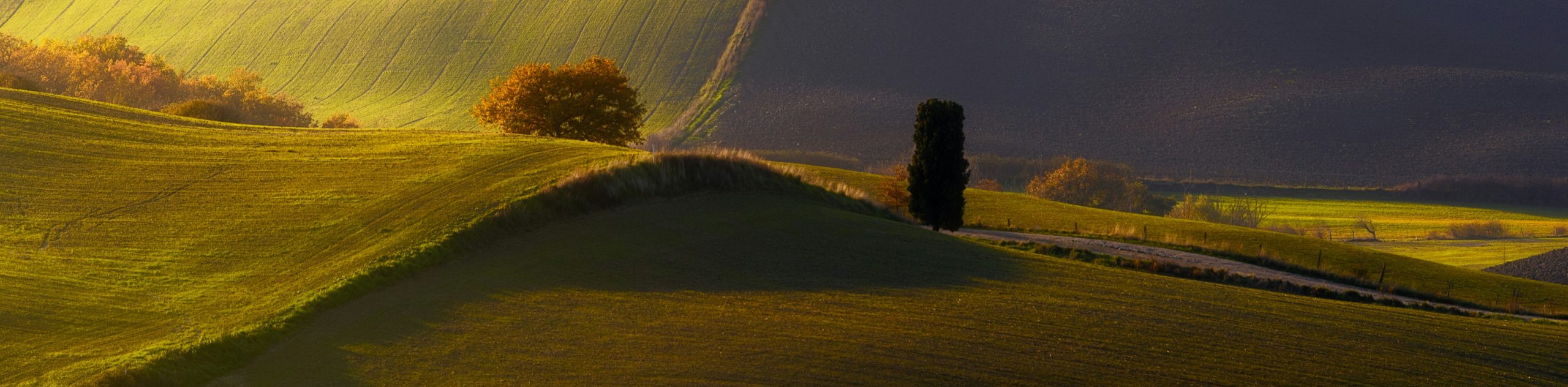 TUSCANY COUNTRYSIDE
