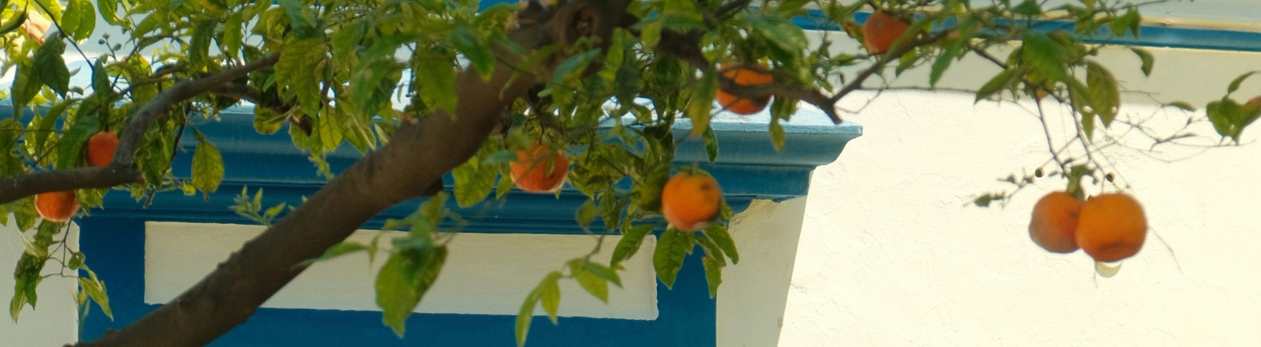 STROMBOLI