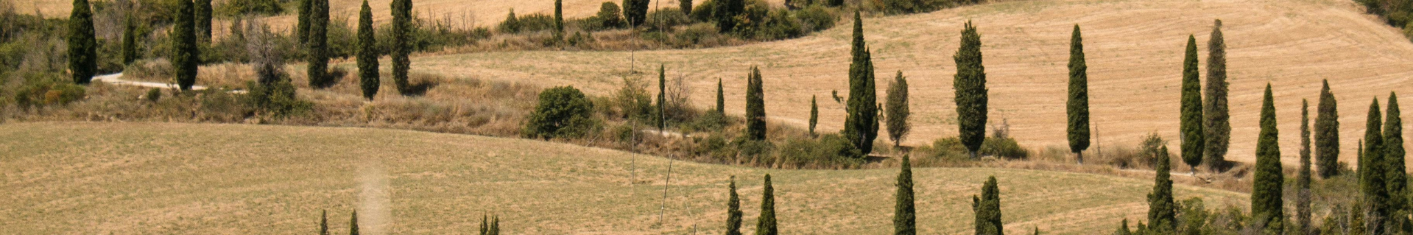 CENTROITALIA