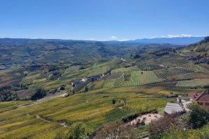 LANGHE5_GALLERY