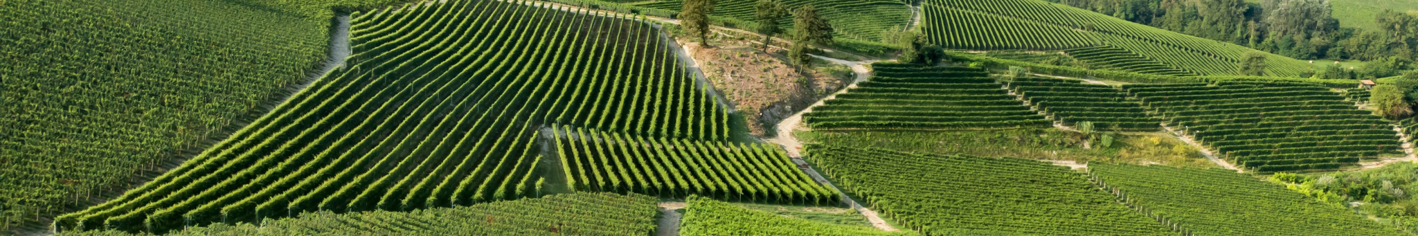 LANGHE_OVERVIEW