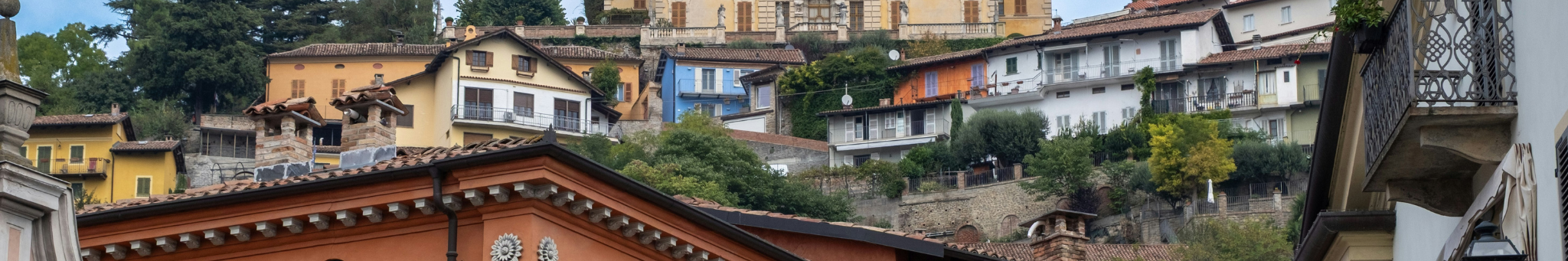 CANELLI_OVERVIEW