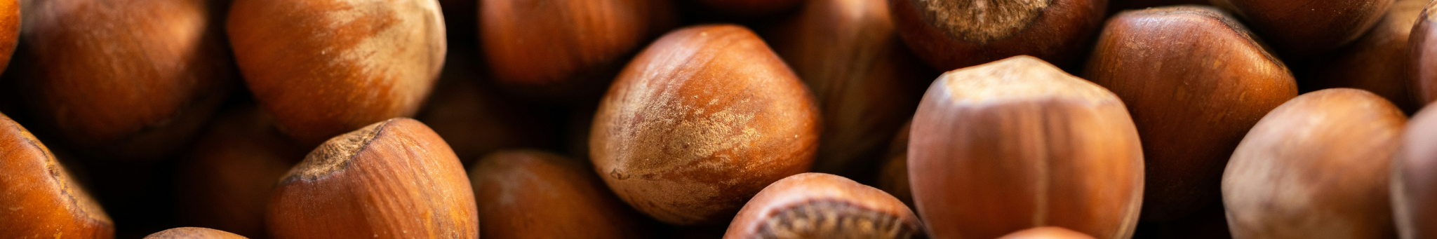 HAZELNUT2_OVERVIEW
