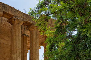 VALLE_DEI_TEMPLI_GALLERY2