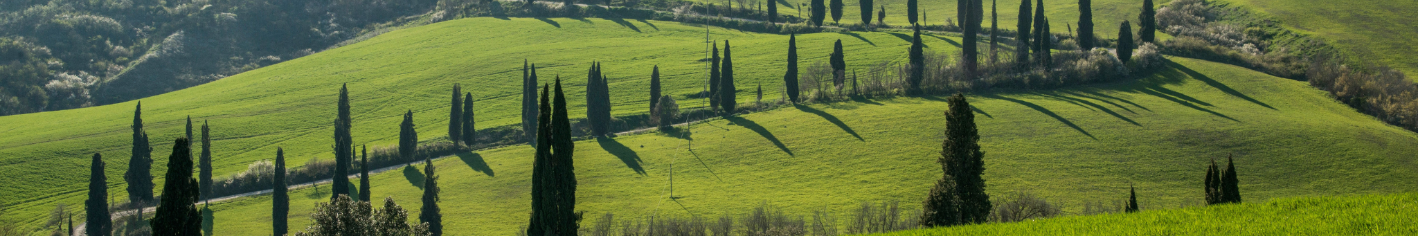 VALDORCIA2