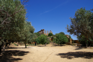 VALLE_DEI_TEMPLI_GALLERY3