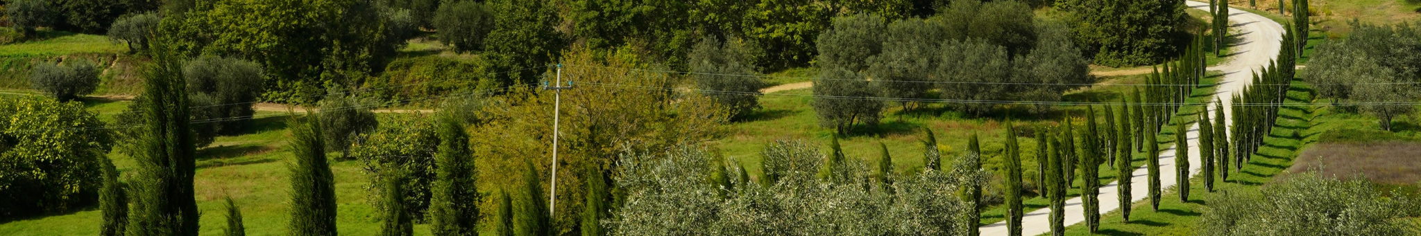 TUSCANY