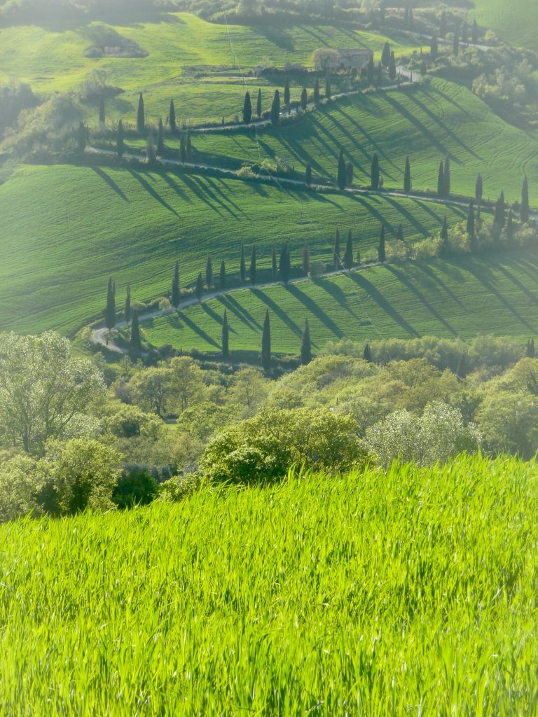 VAL D'ORCIA