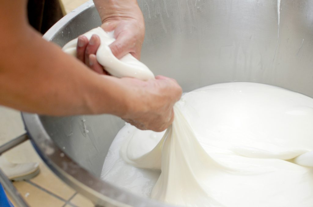 MOZZARELLA MAKING