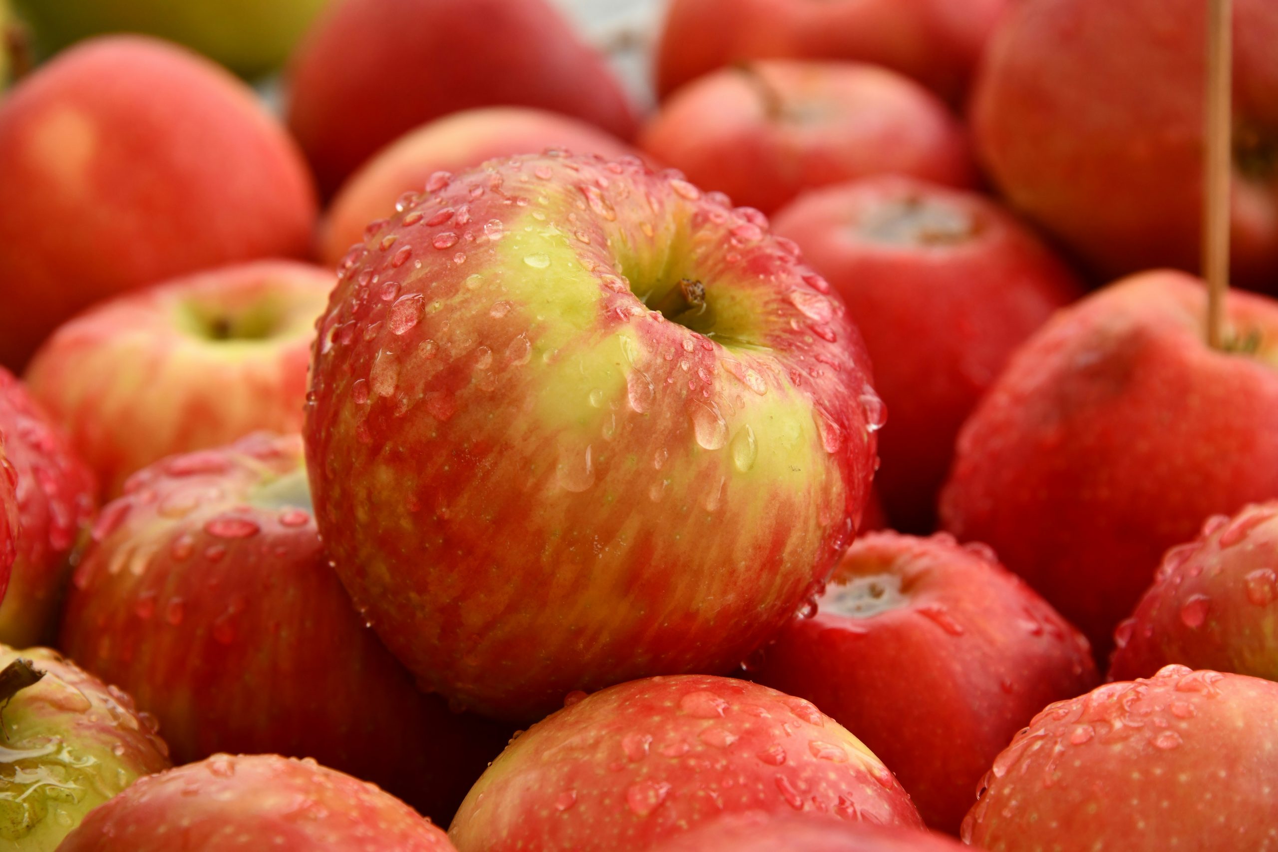 APPLES
