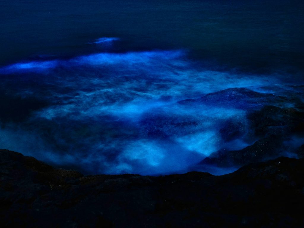 BIOLUMINESCENT WATER